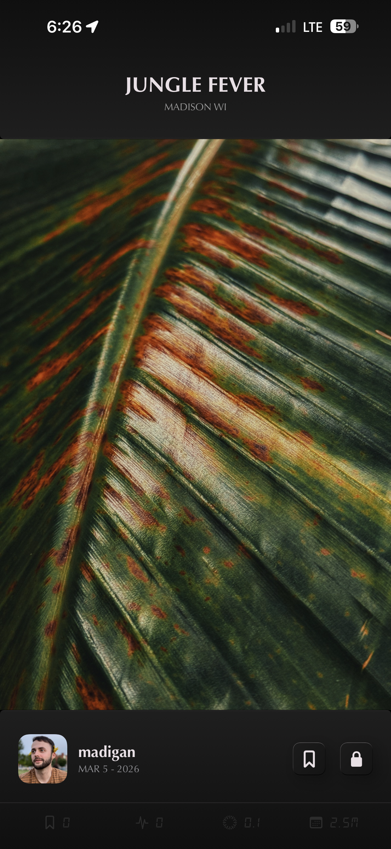 A photograph displayed fullscreen
