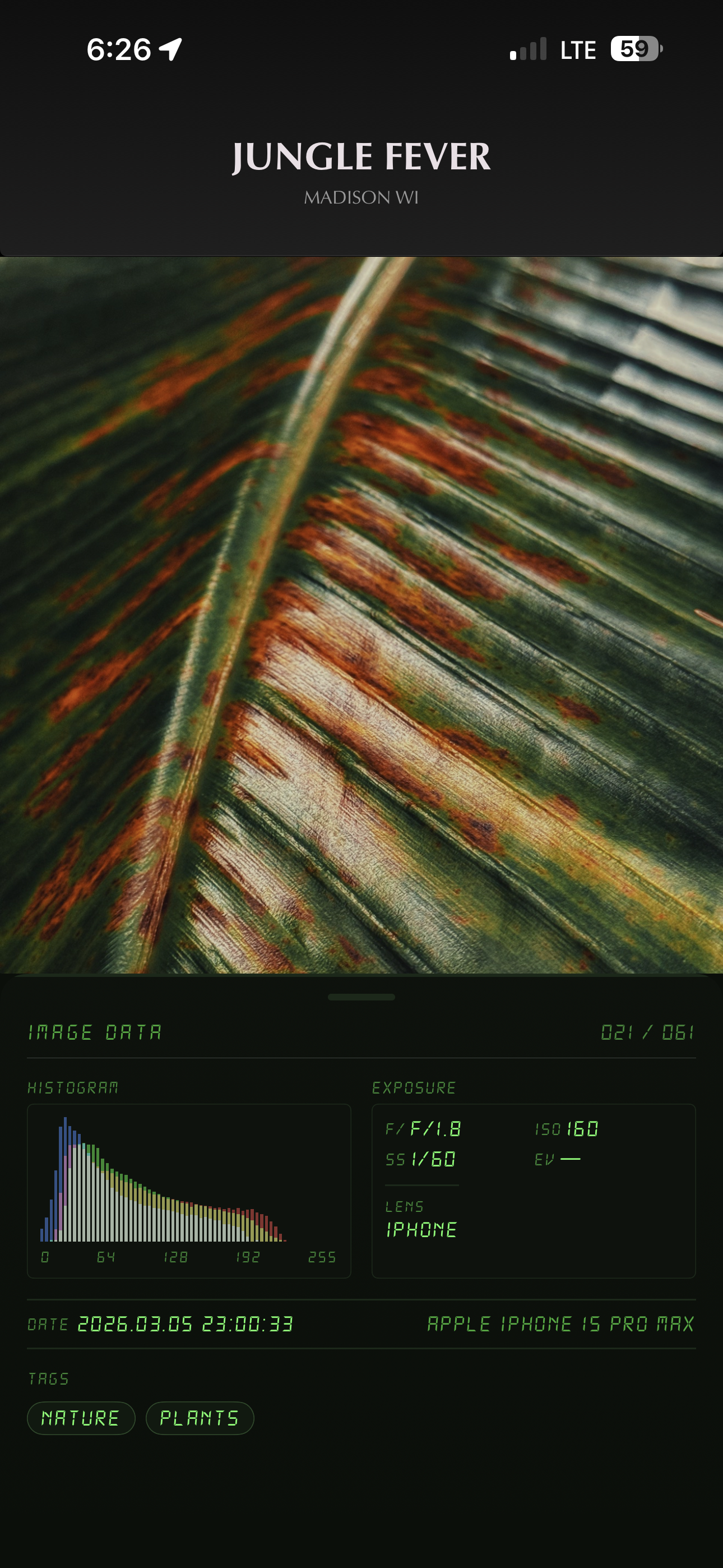 Histogram and EXIF metadata overlaid